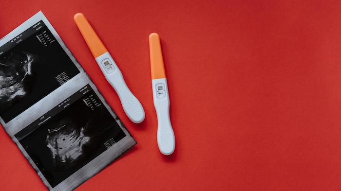 آیا موی گربه باعث نازایی در زنان می‌شود؟ بررسی علمی یک باور رایج