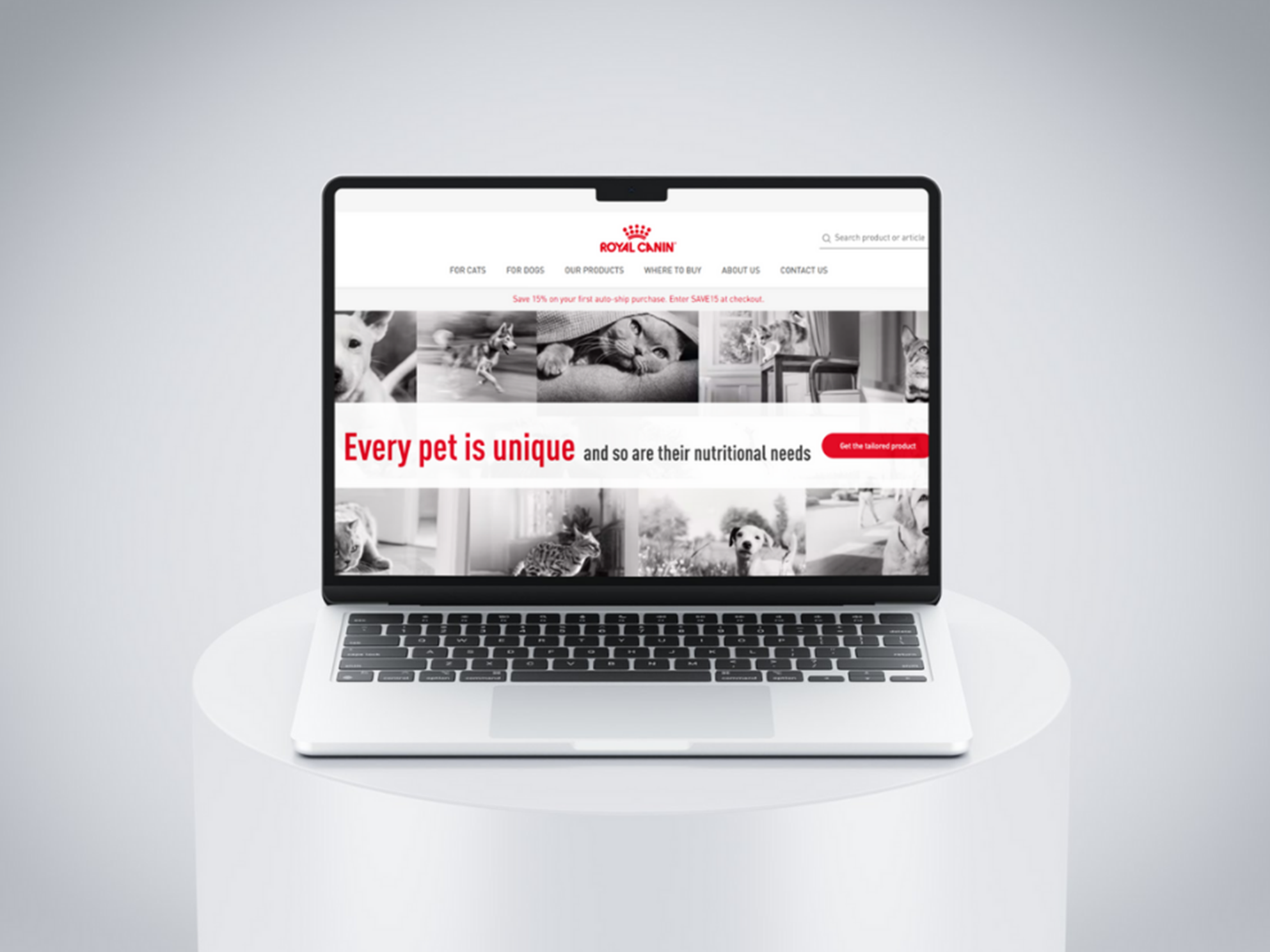 رویال کنین (Royal Canin): پیشگام در علم تغذیه حیوانات خانگی