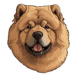 غـــذای خــــشـــک سگ