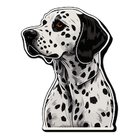 غـــذای خــــشـــک درمانی