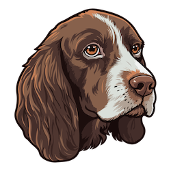 پــوچ و سوپــــــ سـگ