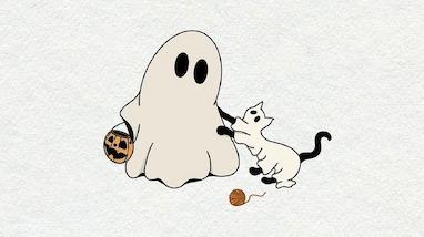 آیا گربه‌ها واقعاً ارواح را می‌بینند؟